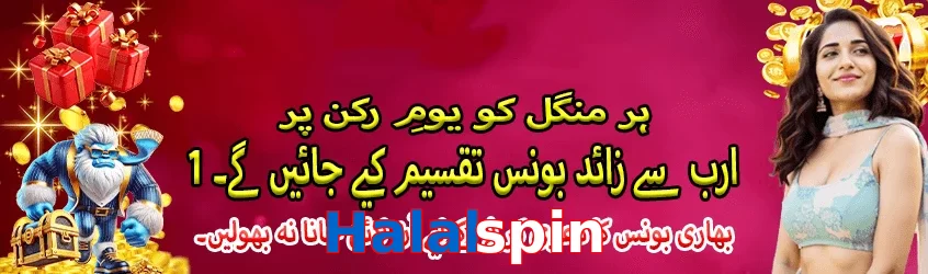 Halalspin